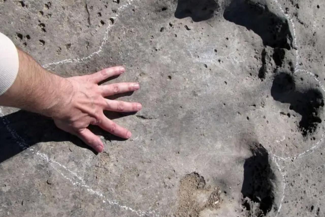 AI helps link dinosaur footprints to their makers