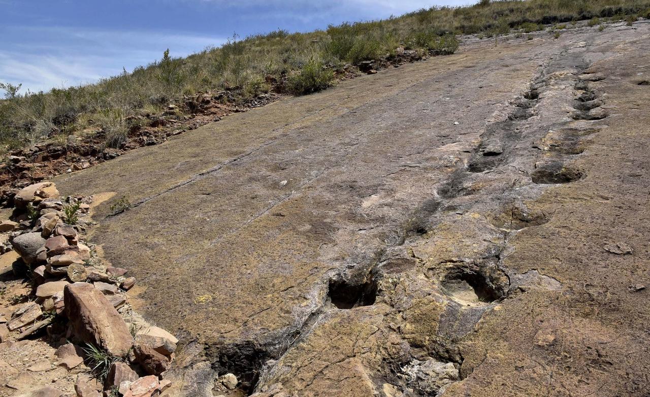 Dinosaur footprints from 115 million years ago found after Texas floodAncient dinosaur tracks from 115 million years ago emerged in Texas (AFP Photo )