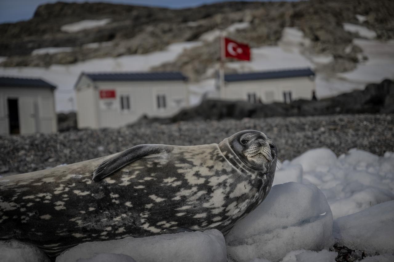 Members of the Turkish scientific team arrive at the Turkish Scientific Research Camp on Horseshoe Island, Antarctica, on February 3, 2026 (AA Photo)