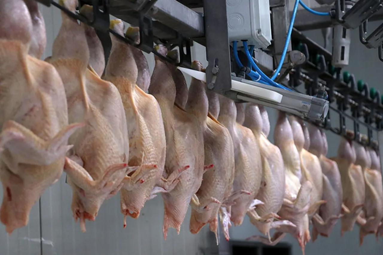 Türkiye suspends chicken exports after 15 percent Ramadan price increase