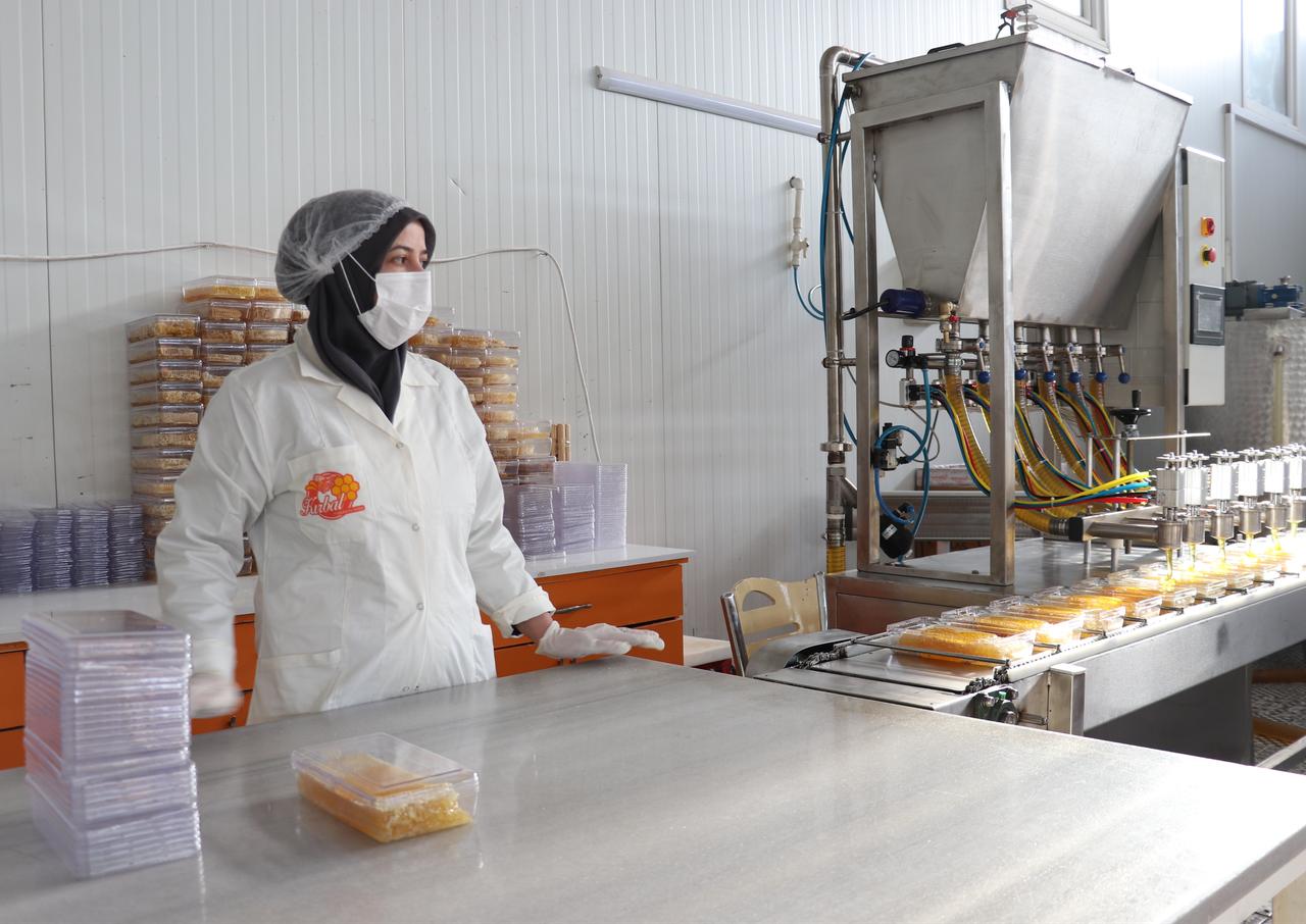 A worker monitors the packaging line as comb honey sourced from local beekeepers is prepared for domestic sale and export at a facility in Sivas, Türkiye, February 8, 2026 ( AA Photo)