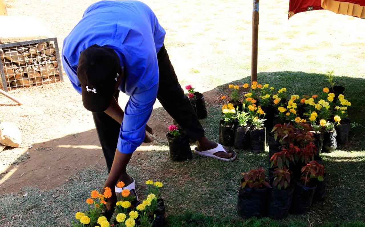 Marina Park, where the first flower exhibition was held in central Khartoum ( Photo via Arabic News )
