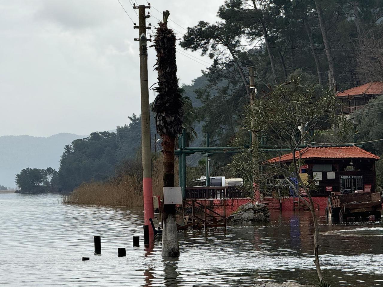 Floodwaters cover picnic tables and trees along the shore of Koycegiz Lake in southwest Türkiye after heavy rainfall caused the lake to overflow, pushing water into normally dry public areas., Feb. 8, 2026. (AA Photo)