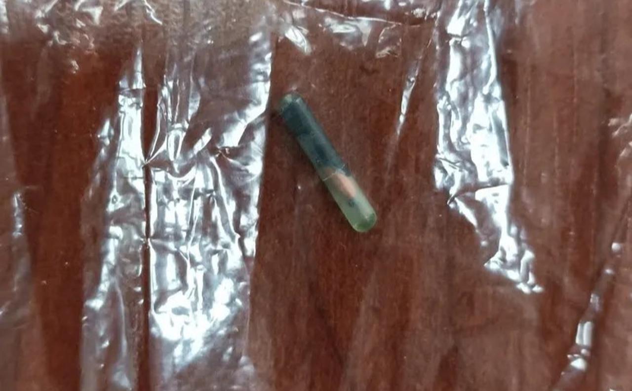 An electronic identification microchip allegedly recovered from a portion of kavurma served at a municipal soup kitchen in Mersin, which officials say belonged to a racehorse identified as Smart Latch. (Photo via local authorities)