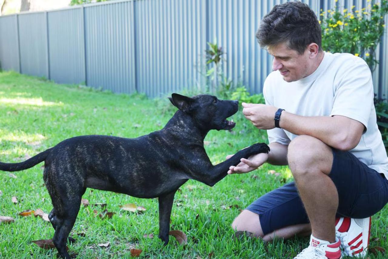 AI builds world's first personalized cancer vaccine for a dog