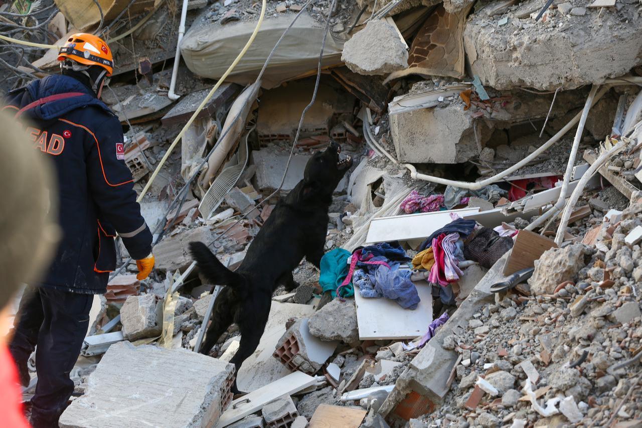 Search and rescue operations continue at collapsed building after 7.7 and 7.6 magnitude earthquakes hits Osmaniye, Türkiye, Feb. 6, 2023. (AA Photo)