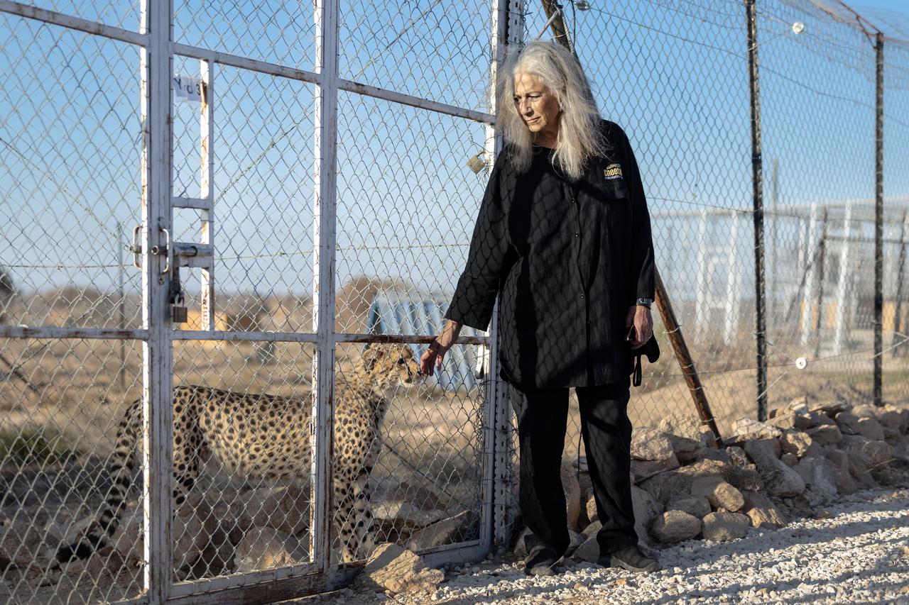 Cheetah Conservation Fund Executive Director Dr. Laurie Marker stands next to a rescued cheetah at the Cheetah Rescue and Conservation Centre, in Gaeed-Deeble, Somaliland, February 17, 2026. (AFP Photo)