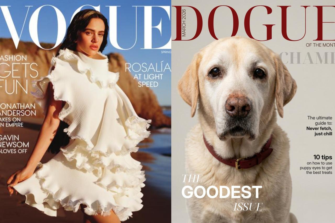 Vogue vs Dogue: Fashion giant takes dog magazine to court