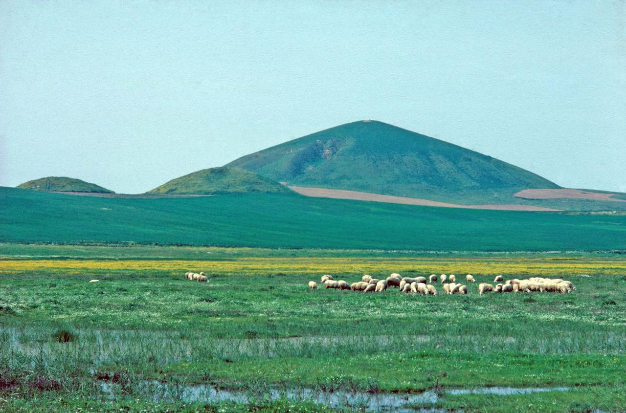 A view of Tumulus of Alyattes in Manisa, Türkiye. (Photo via Archaeological Exploration of Sardis)