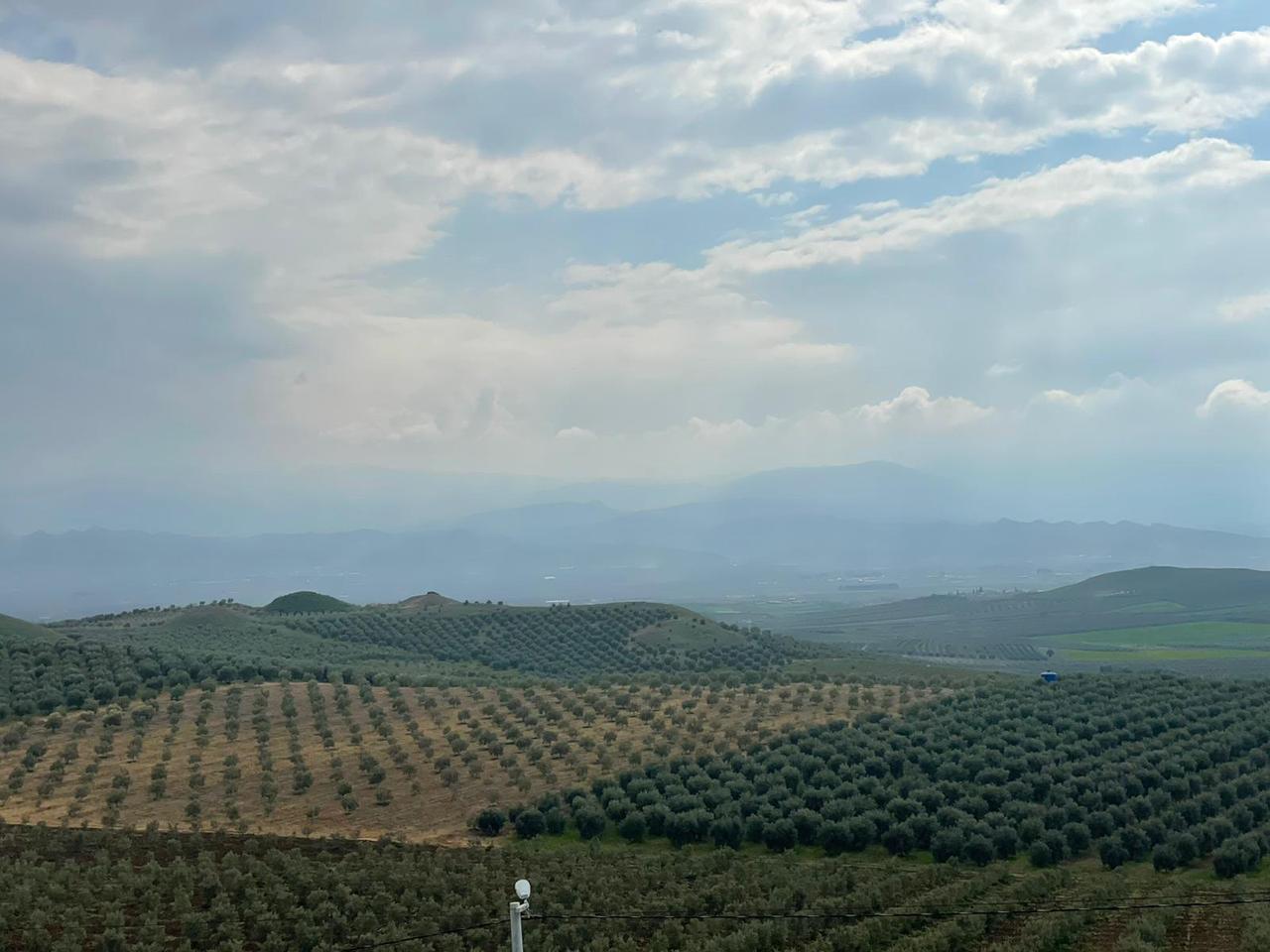 Rolling hills at Bin Tepe mark the ancient cemetery of Lydia near Sardis, Manisa, Türkiye, March 24, 2026. (Photo by Koray Erdogan/Türkiye Today)