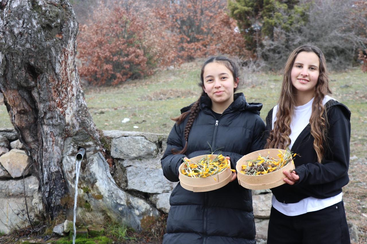 Students display baskets filled with yellow crocus flowers collected during the “Cigdem Gezmesi” spring tradition near Hattusa in Corum, Türkiye, March 26, 2026. (AA Photo)