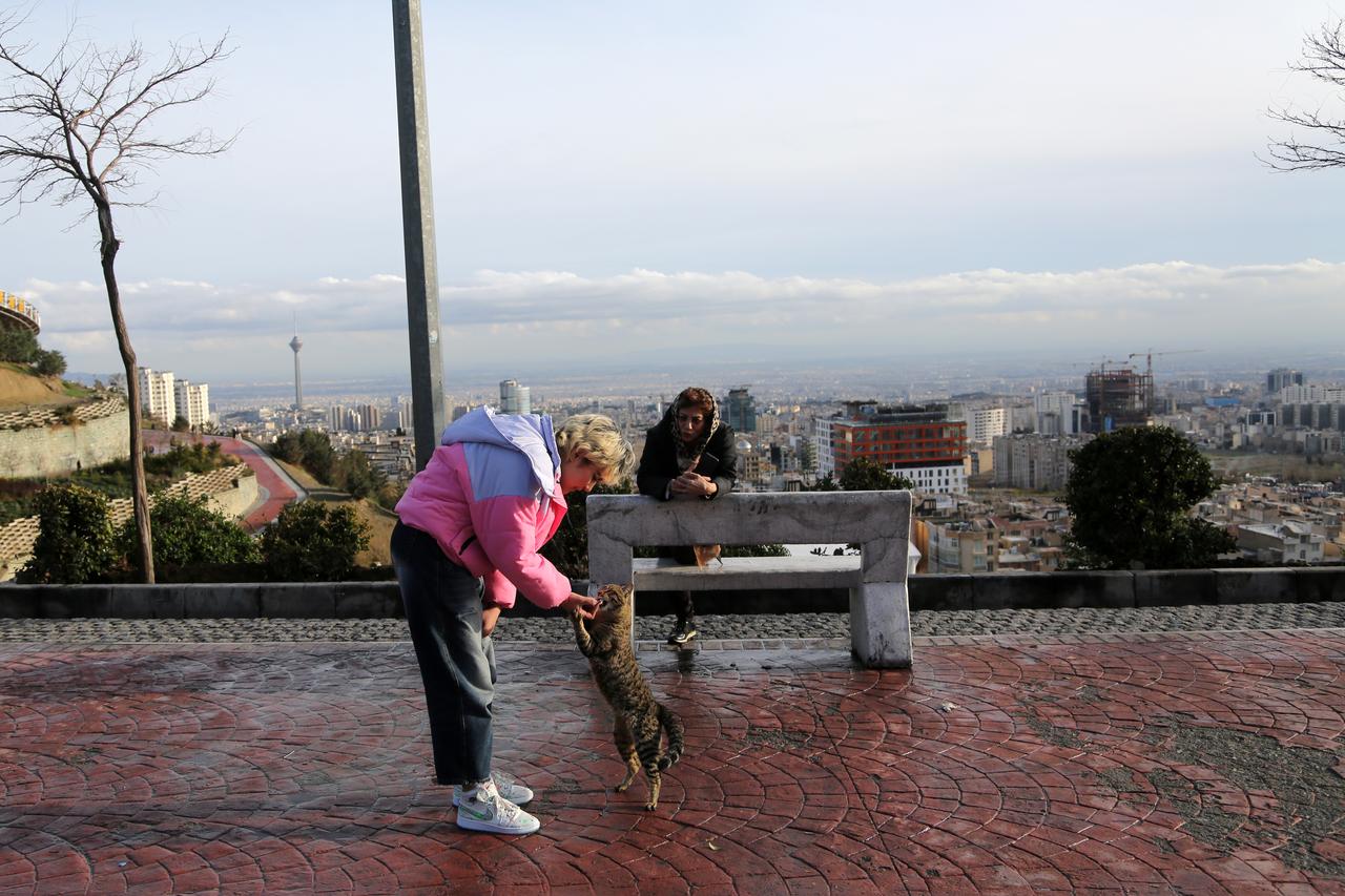 Life in Tehran: Hopes, cats and trauma