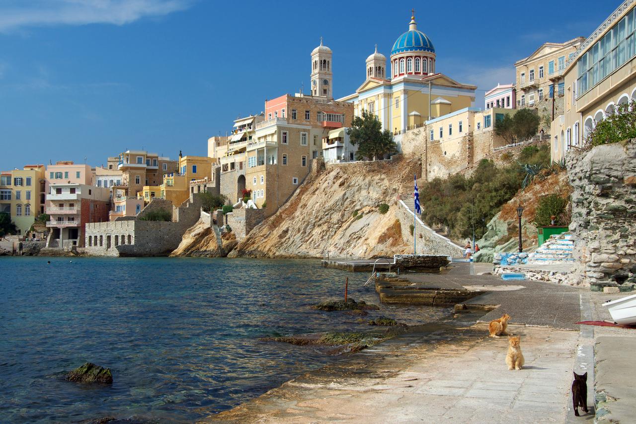 Discover Greek island offering cat lovers free stay in exchange for volunteering