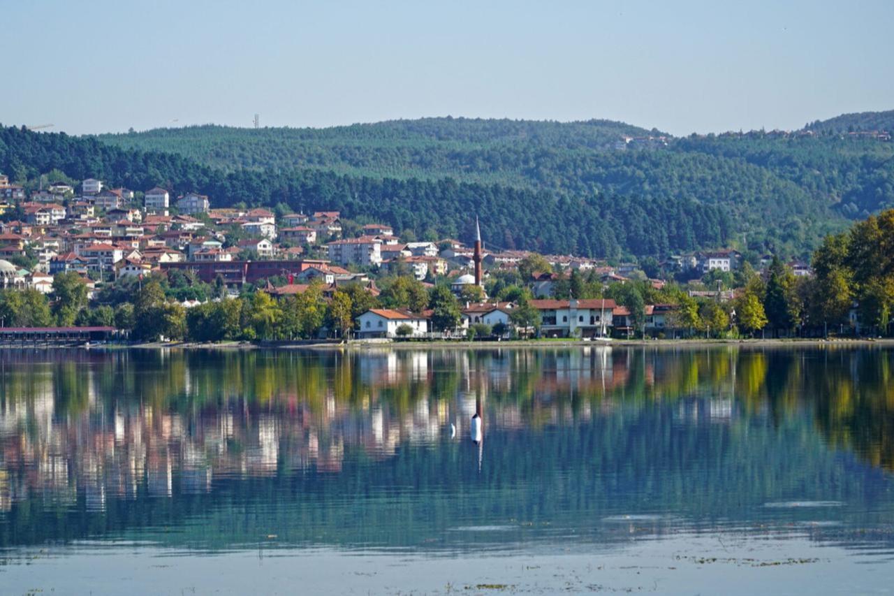 When spring is here, can hay fever be far behind? Doctors share tips