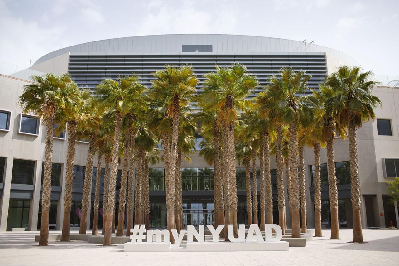A view from the campus of the New York University Abu Dhabi in the United Arab Emirates (UAE) at an unspecified date. (Photo via nyuad.nyu.edu)