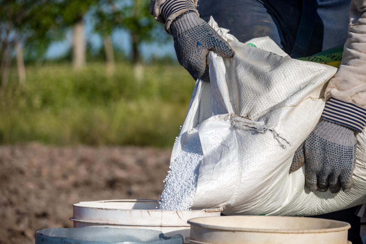 A farmer pours granular fertilizer from a large sack into a bucket. (Adobe Stock Photo)