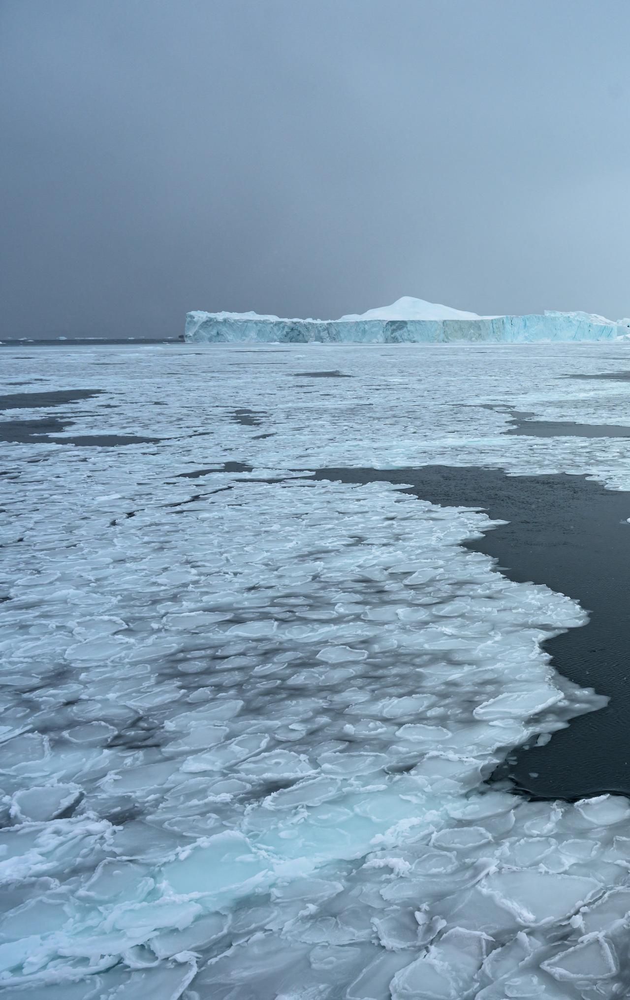 Sea ice forms around icebergs in Disko Bay near Ilulissat, Greenland, March 15, 2026. (AFP Photo)