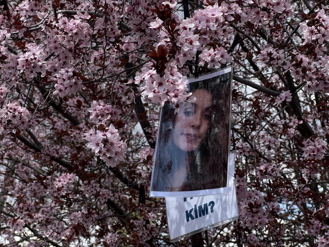 Photographs of missing student Gulistan Doku hang on trees during a protest at Kisla Square, Tunceli, Türkiye, April 22, 2026. (AA Photo)