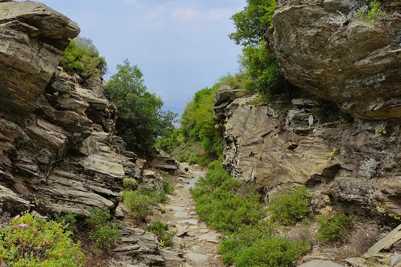 Efeler Way draws global hikers to Türkiye’s hidden Aegean mountains