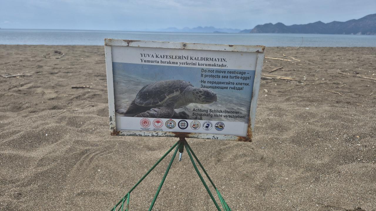 An informative sign warns visitors not to move nesting cages used to protect loggerhead sea turtle (caretta caretta) eggs at Iztuzu Beach in Ortaca, Muğla, Turkiye, April 26, 2026. (AA Photo)