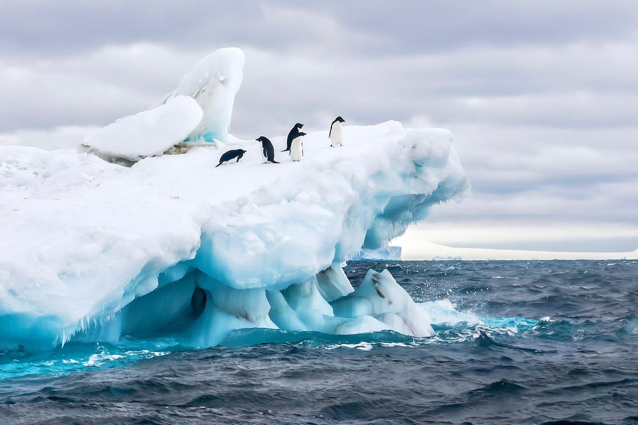 Antarctica’s sea ice collapse after 2016 reveals deeper ocean shift, study shows