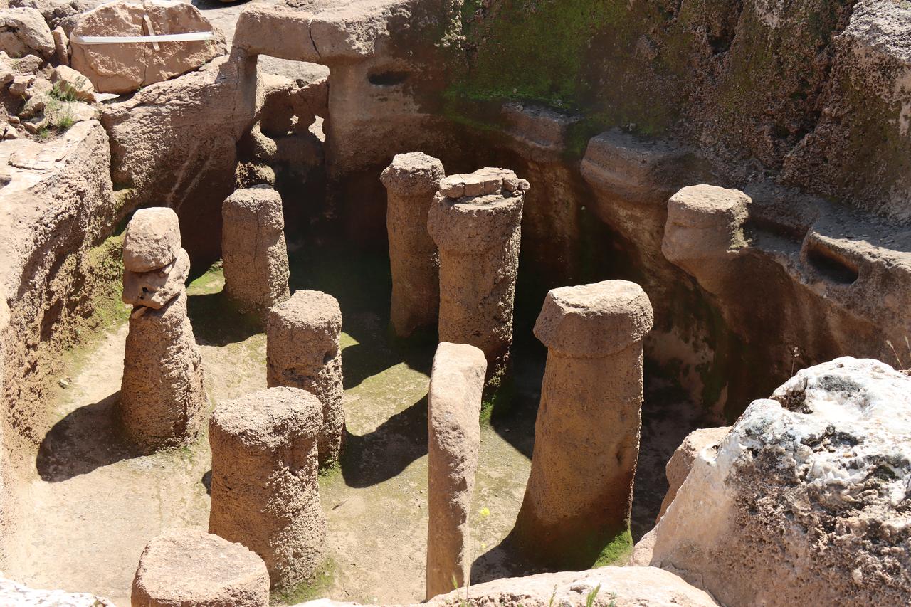 Karahantepe reveals 12,000-year-old diet of gazelle, legumes