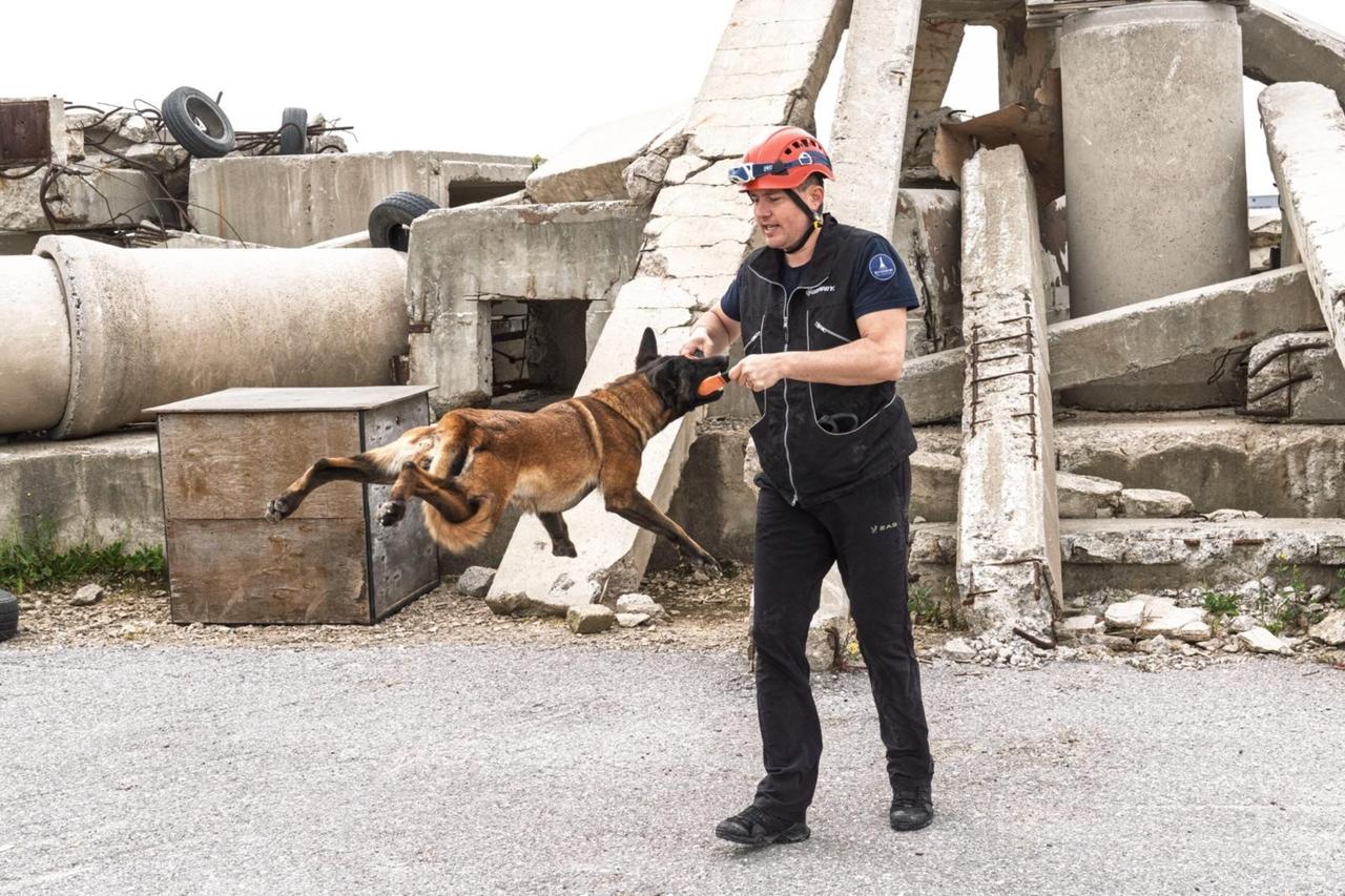 Momo the rescue dog trains in Türkiye’s Izmir to find quake survivors
