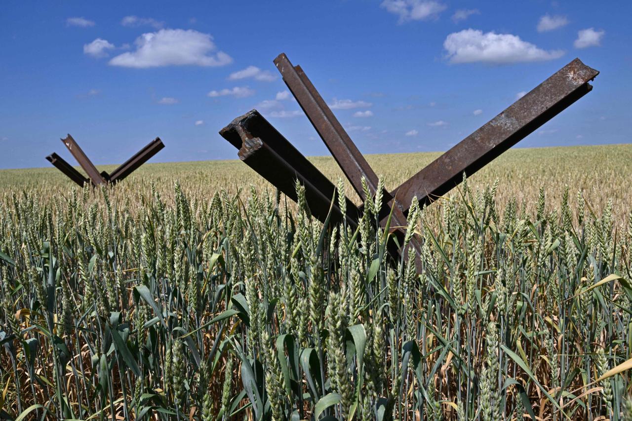 Israel rejects Ukraine's ‘stolen grain’ claims, urges it to provide evidence 