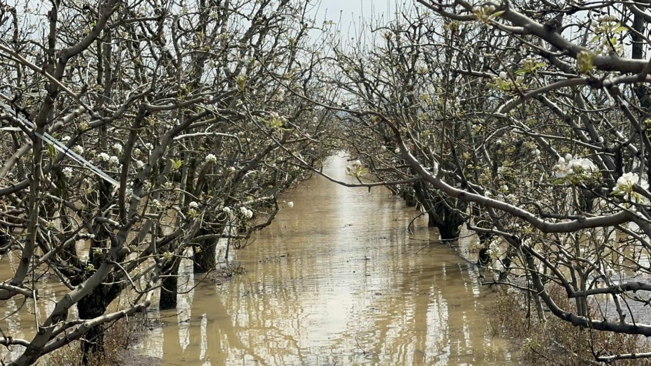 Mud, water and lost harvests: Farmers in Bursa struggle amid spring floods