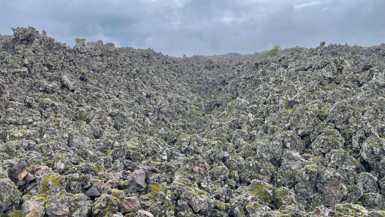 Koray Erdogan/Türkiye Today