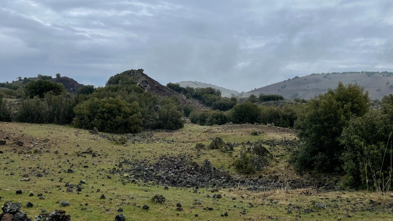 Koray Erdogan/Türkiye Today