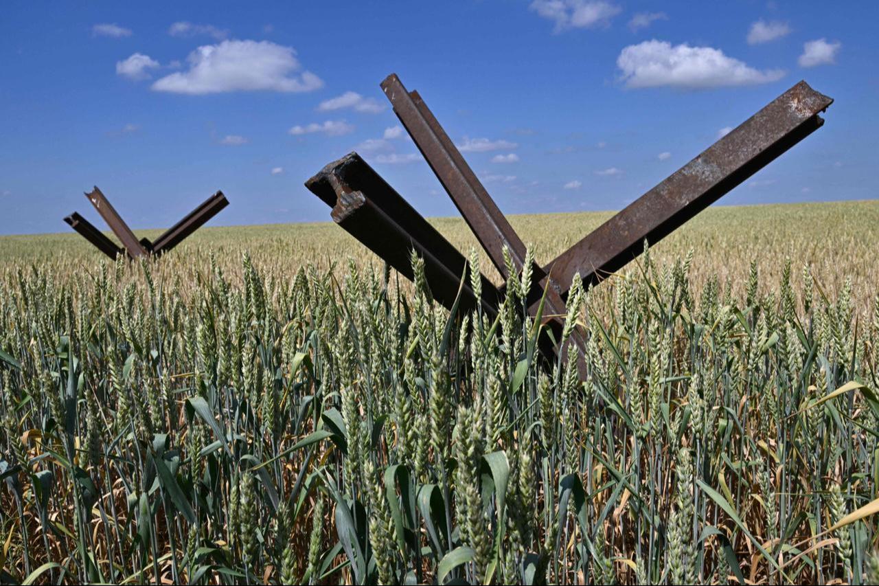 The photograph shows anti-tank obstacles on a wheat field at a farm in southern Ukraines Mykolaiv region, on June 11, 2022, amid the Russian invasion of Ukraine. (AFP Photo)