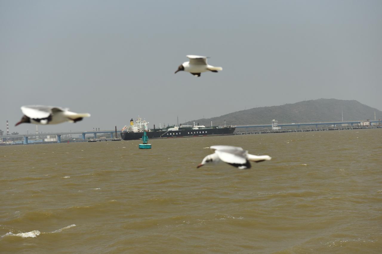 Türkiye working to remove 9 ships from Strait of Hormuz, minister says