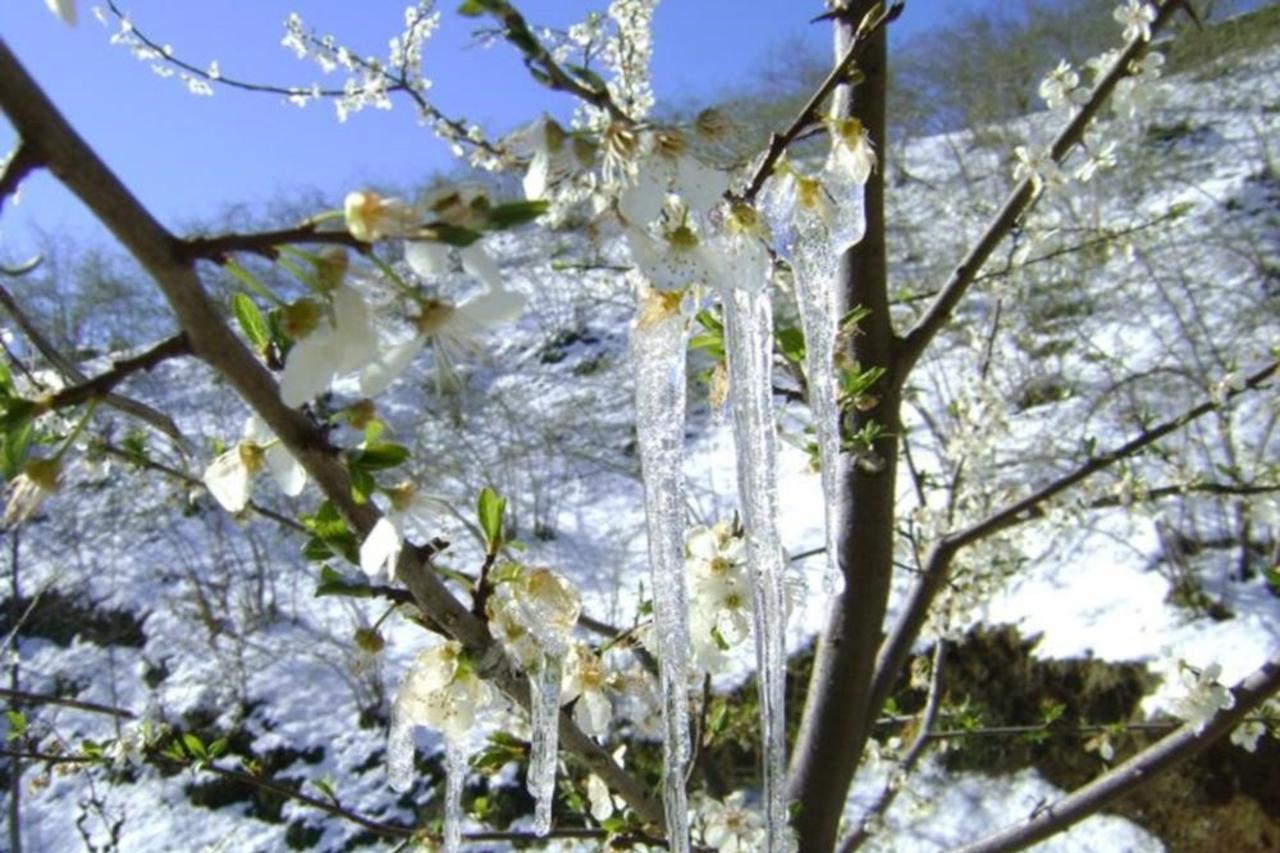 Temperature drop brings agricultural frost risk, authorities urge caution