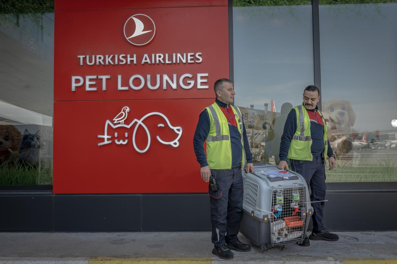 Officials take care of the pets in “Pet Lounge” established at Istanbul Airport in Istanbul, Türkiye, April 21, 2026. (AA Photo)