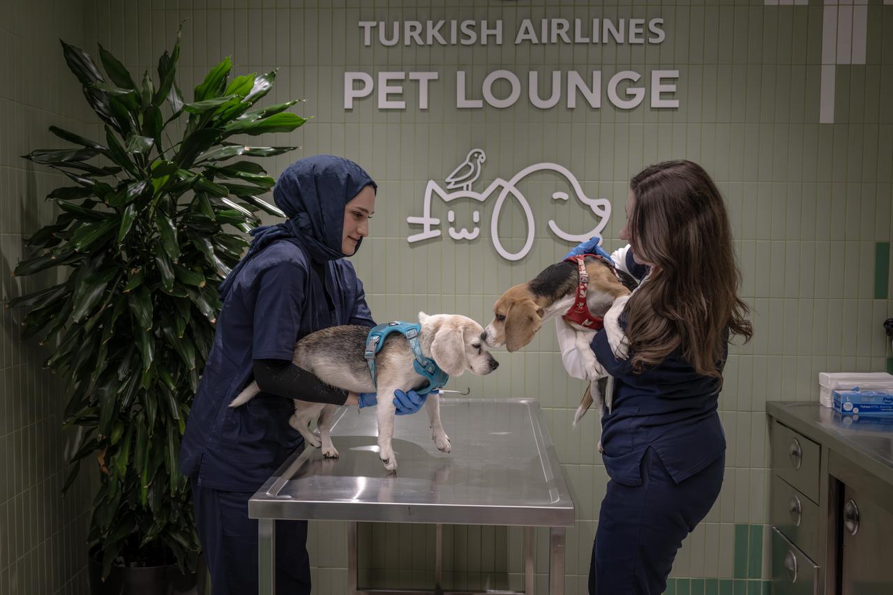 Officials take care of the pets in “Pet Lounge” established at Istanbul Airport in Istanbul, Türkiye, April 21, 2026. (AA Photo)