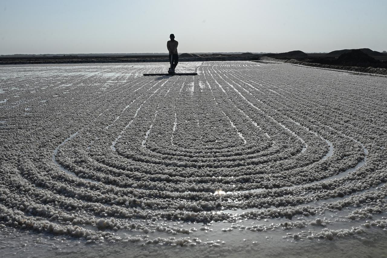 A salt pan worker raking harvested salt at an alkali flat in the Little Rann of Kutch region in Gujarat. India on April 29, 2026 (AFP Photo)