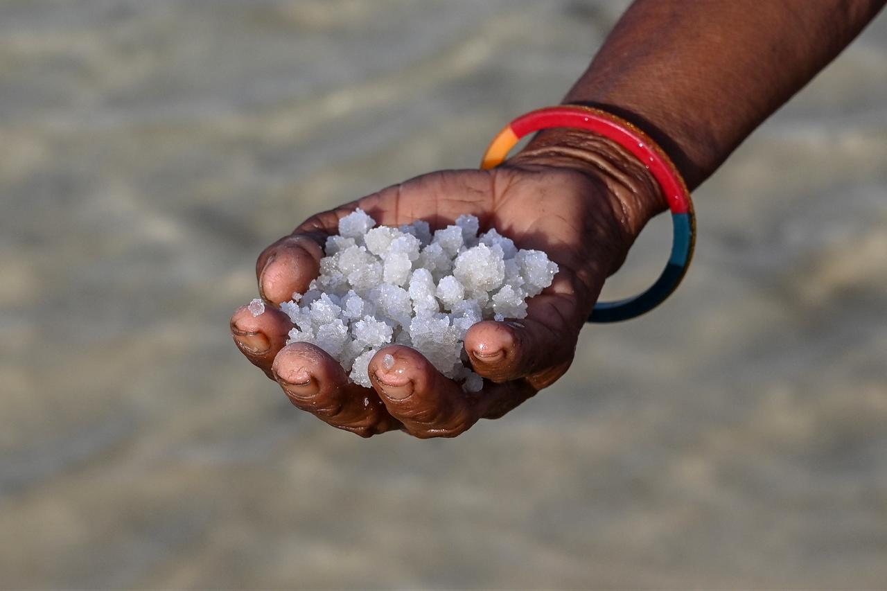 A salt pan worker holding a handful of harvested salt at an alkali flat in the Little Rann of Kutch region in Gujarat. India on April 29, 2026 (AFP Photo)