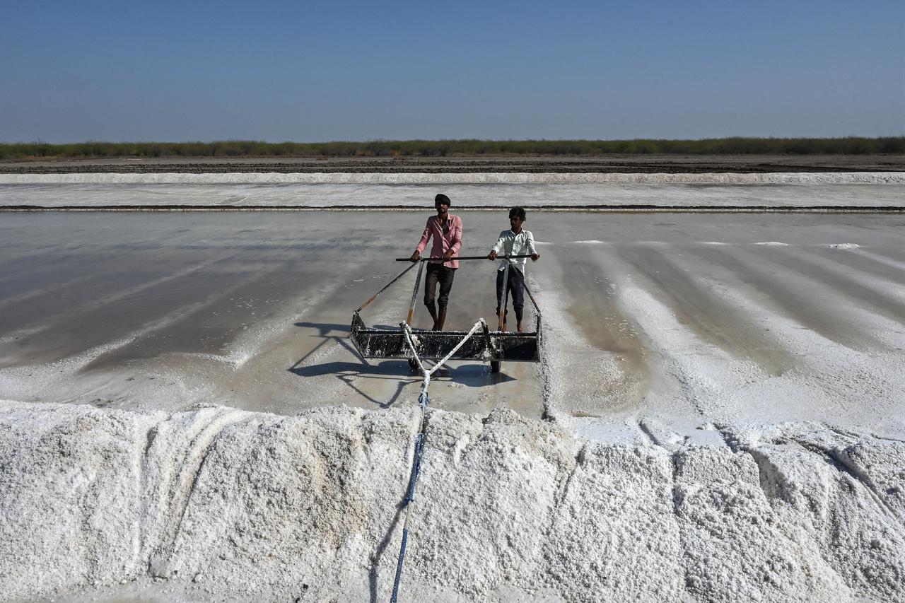 Workers piling harvested salt at an alkali flat in the Little Rann of Kutch region in Gujarat. India on April 29, 2026 (AFP Photo)