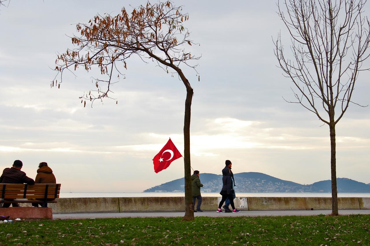 Families shrink in Türkiye as households get smaller, solo living rises