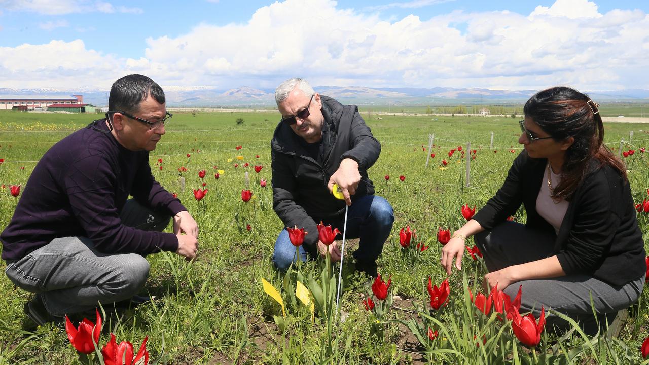 Anadolu Agency