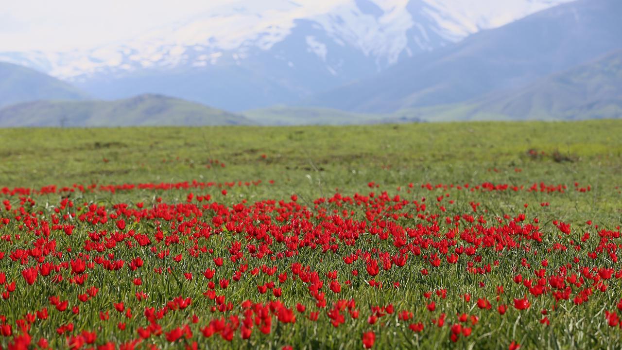 Anadolu Agency