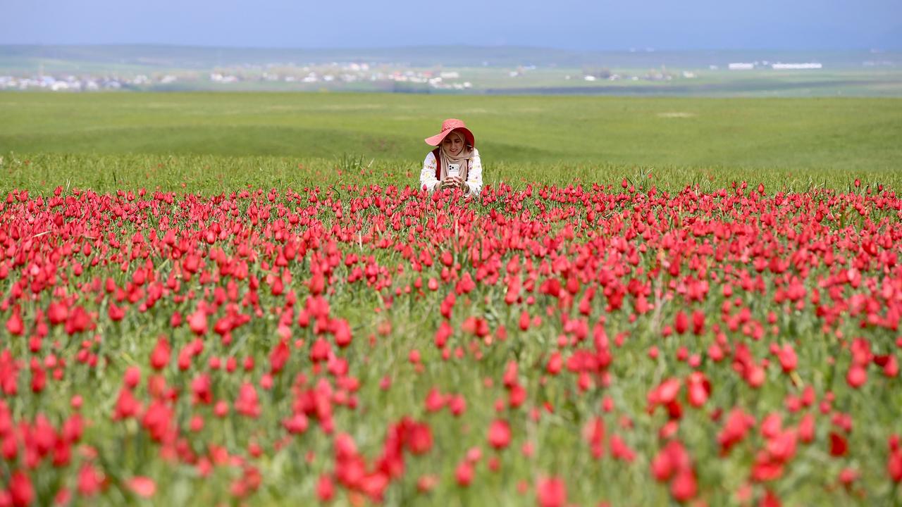 Anadolu Agency