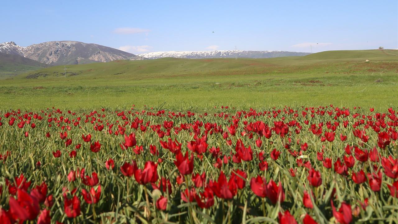 Anadolu Agency