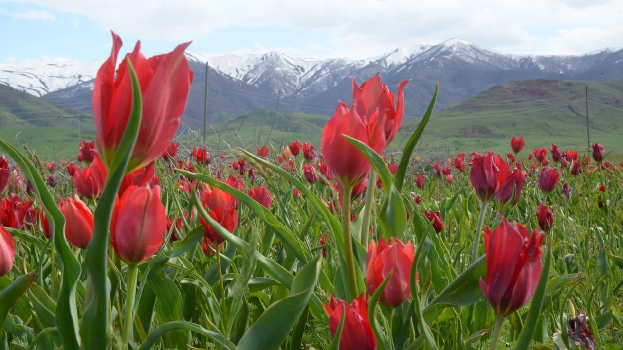 Anadolu Agency