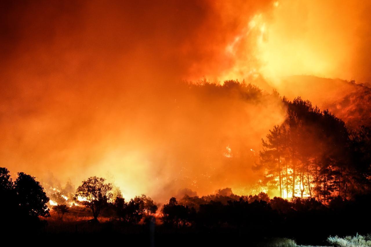 Experts warn record wildfires in 2026 could signal climate-driven disaster year