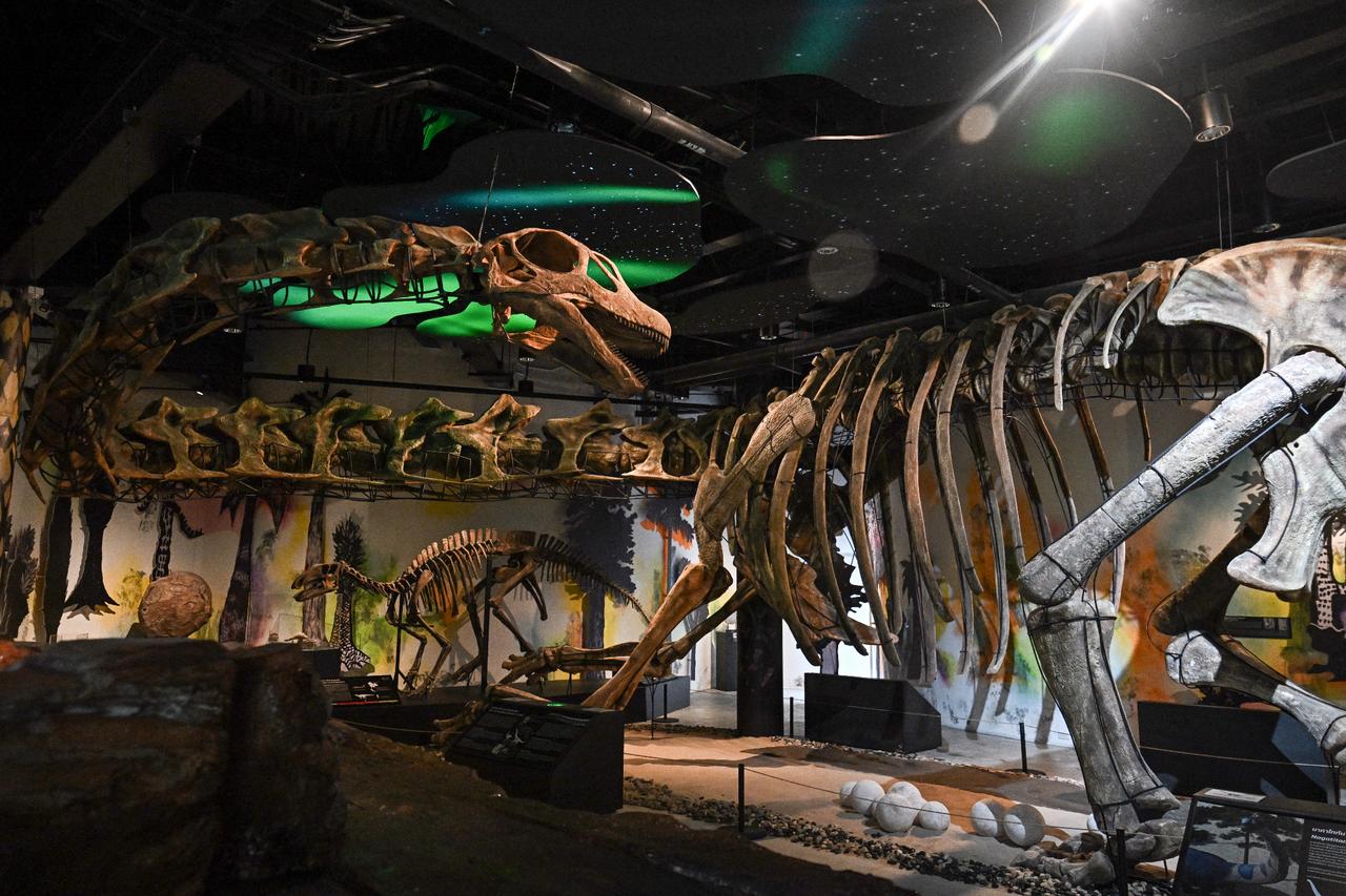 Scientists discover 27-meter giant dinosaur, largest ever found in Southeast Asia