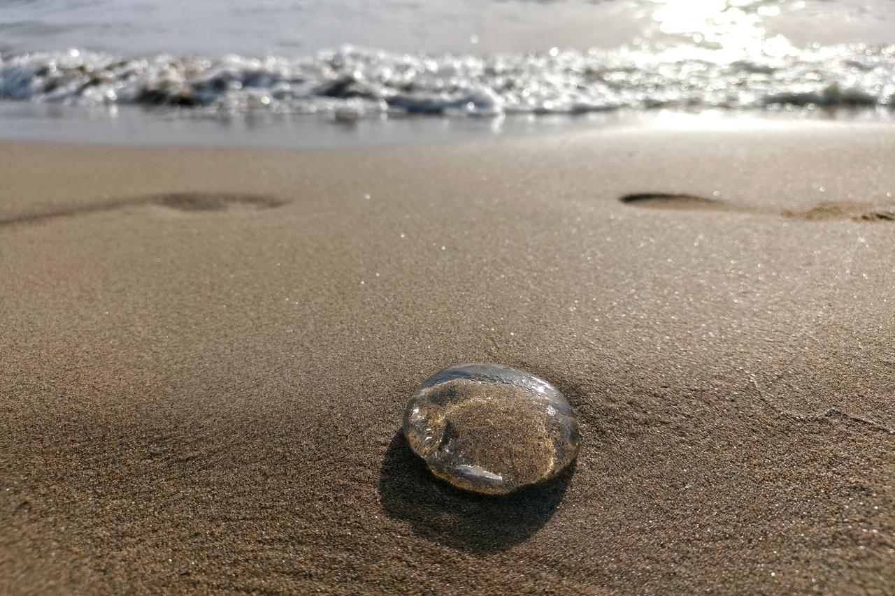 Thousands of jellyfish blanket Aegean beaches in unexpected surge