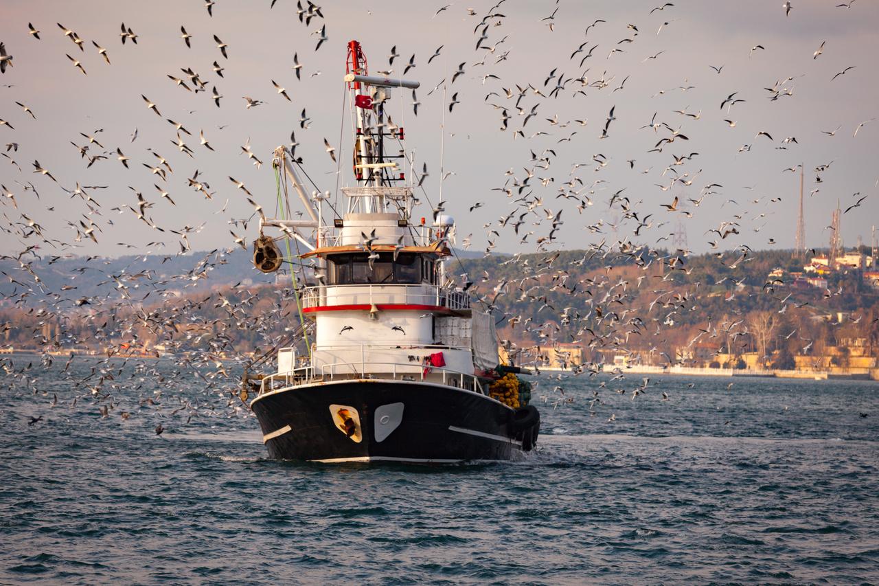 Greece asks EU to intervene over Turkish fishing activities in Eastern Mediterranean