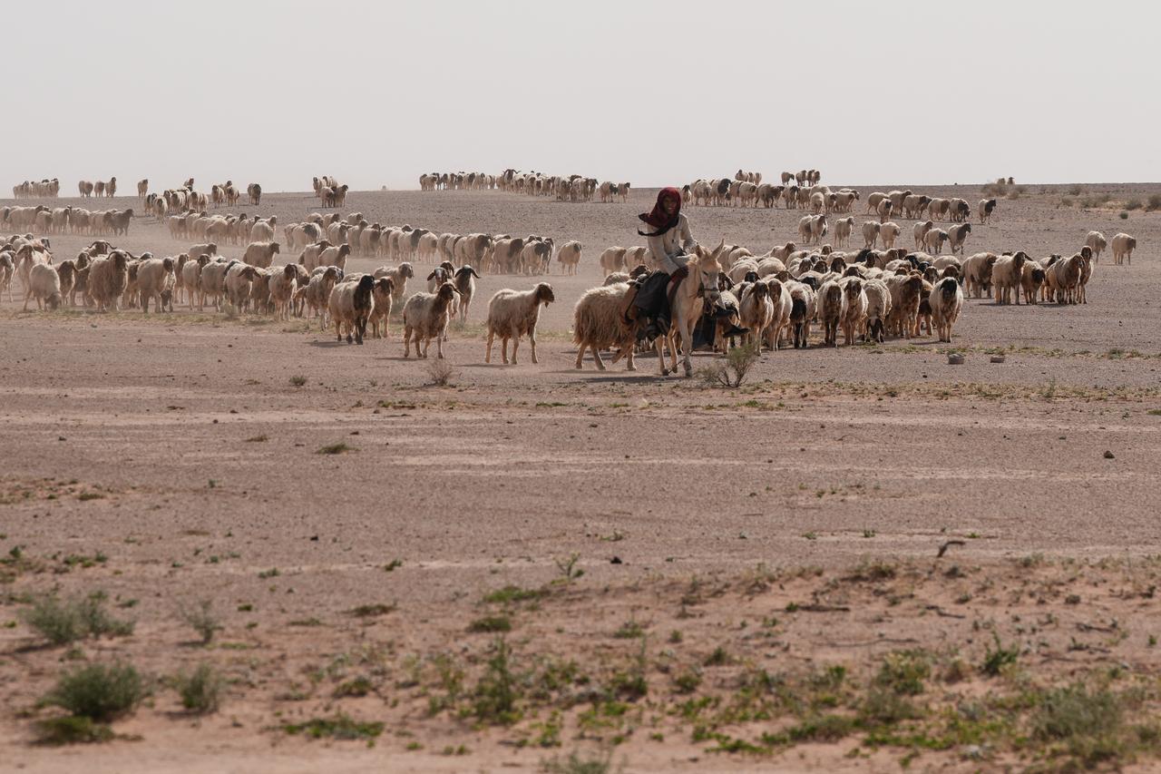 Israel secretly operated in Iraq’s desert, killed shepherd who stumbled upon site